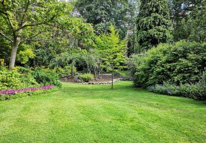 Optimiser l'expérience du jardin à Labosse