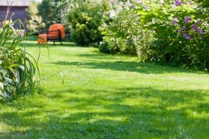 travaux jardin et paysage Labosse